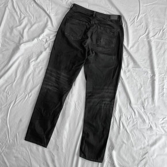 American Eagle Strigid Mom Jean - Picture 4 of 9